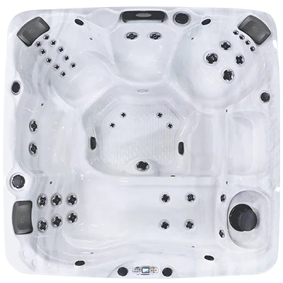 Avalon EC-840L hot tubs for sale in Honolulu
